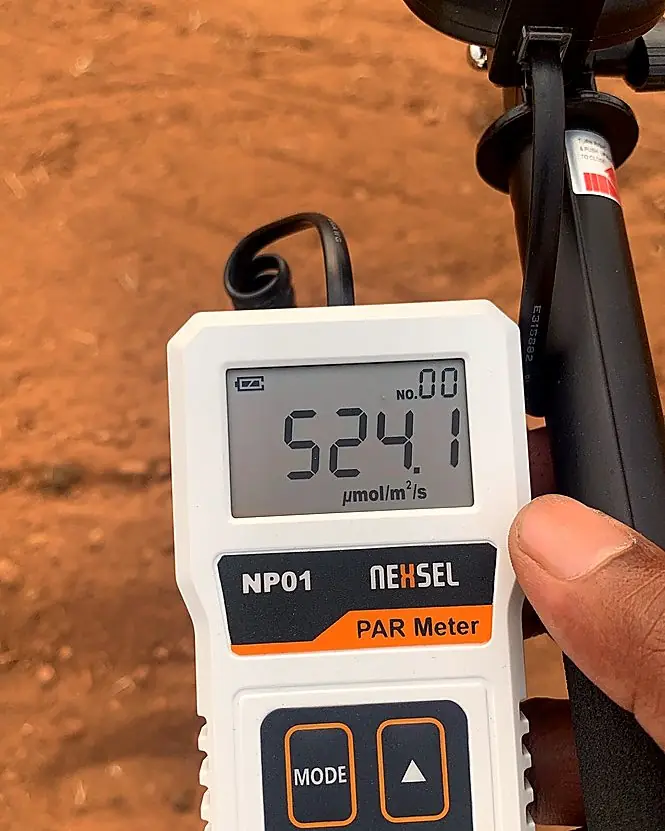 PAR meter reading light intensity in an open field