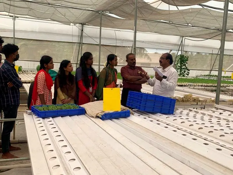 Training session with students inside a Greenzy polyhouse